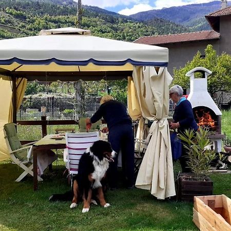 Appartamento Signorile Con Giardino 奥斯塔 外观 照片