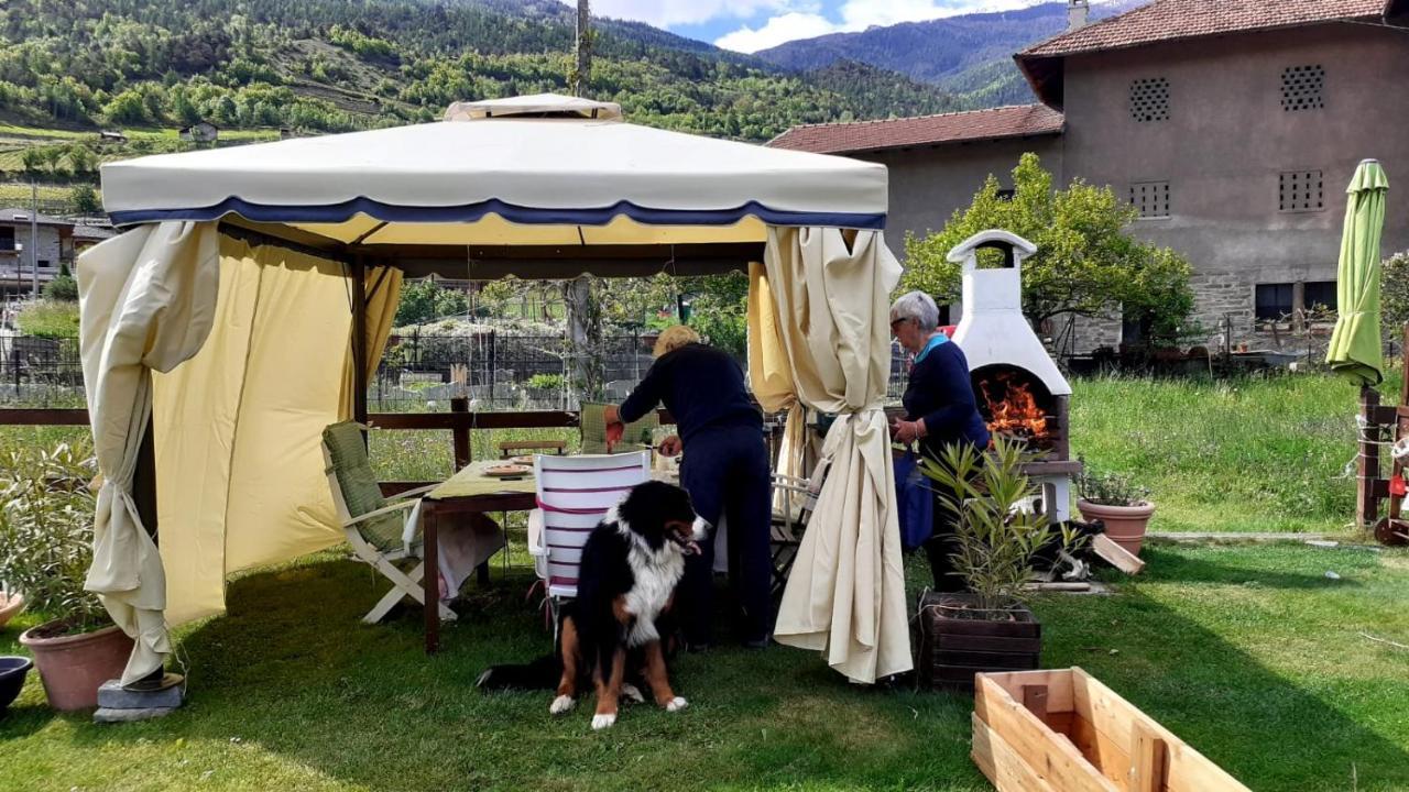 Appartamento Signorile Con Giardino 奥斯塔 外观 照片