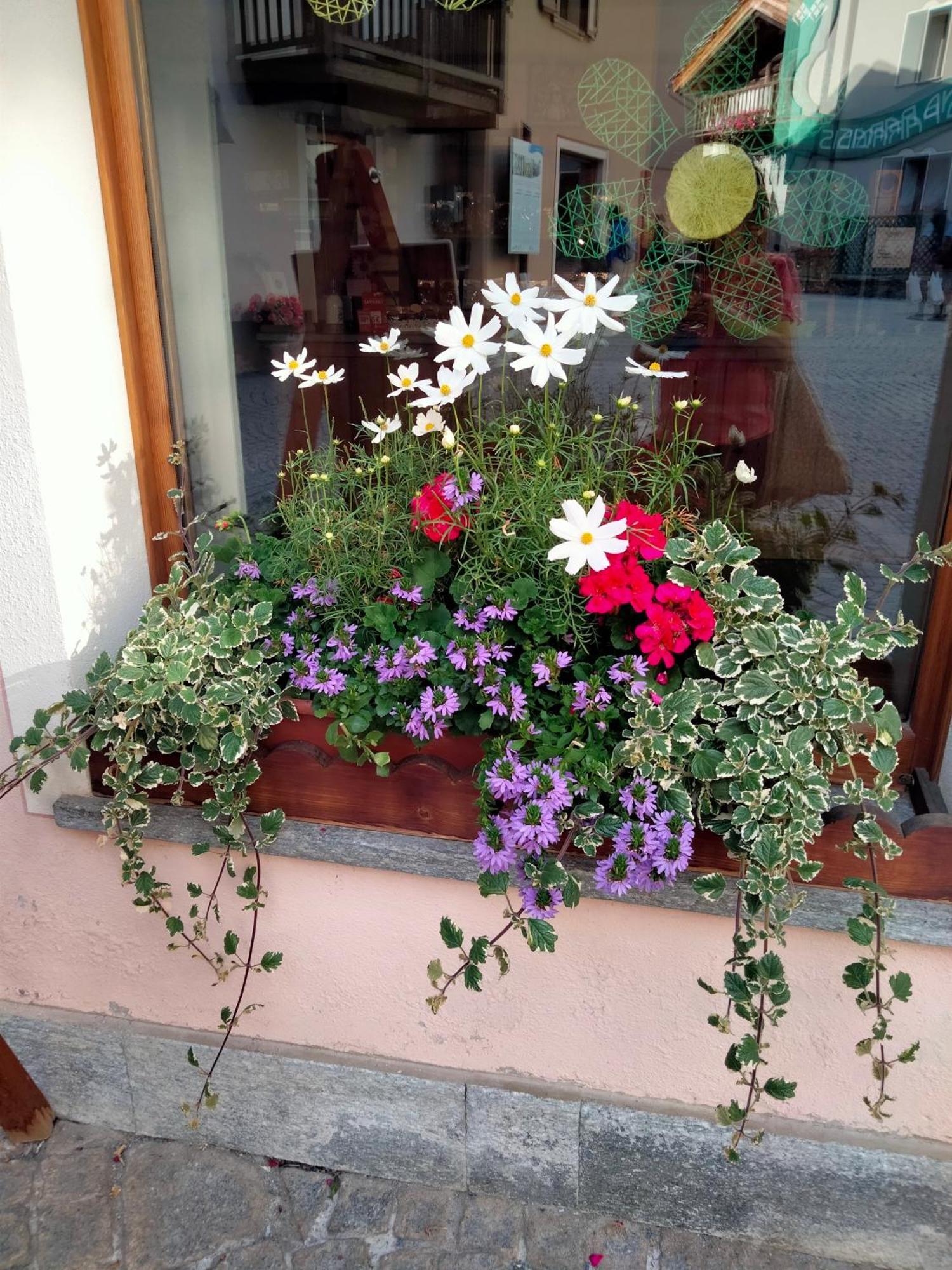 Appartamento Signorile Con Giardino 奥斯塔 外观 照片