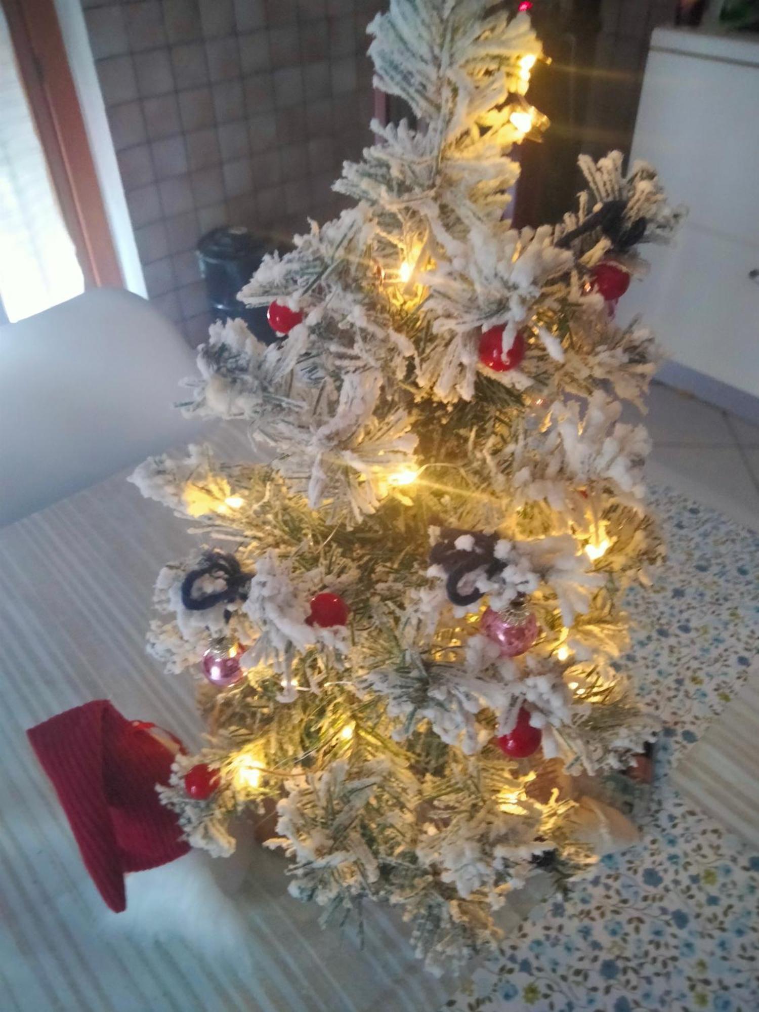 Appartamento Signorile Con Giardino 奥斯塔 外观 照片