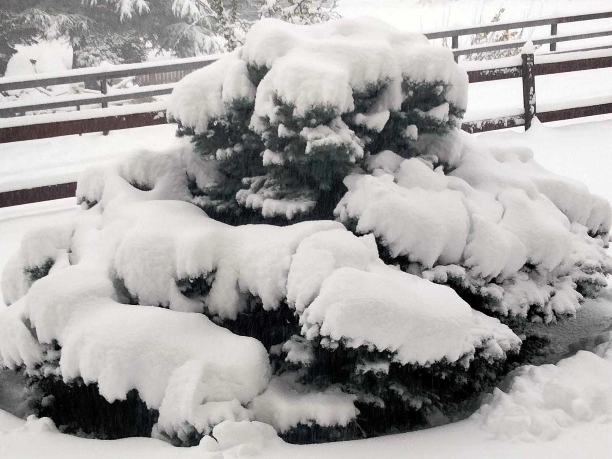 Appartamento Signorile Con Giardino 奥斯塔 外观 照片