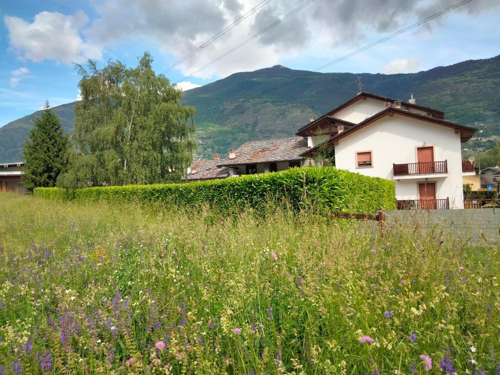 Appartamento Signorile Con Giardino 奥斯塔 外观 照片